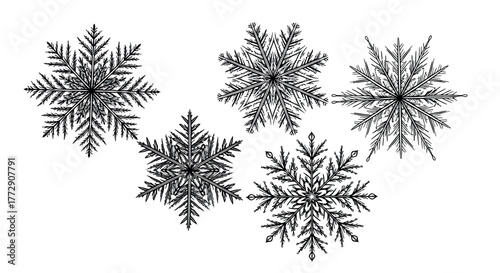 A collection of five detailed black and white snowflake illustrations arranged in a dynamic composition against a stark white background, showcasing intricate crystalline structures.