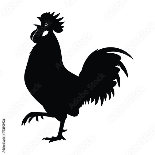 Black Silhouette of a Strutting Rooster on White Background bird