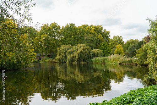 A tranquil park lake reflects vibrant green trees and weeping willows, with ducks swimming on its calm surface under a soft, cloudy sky.