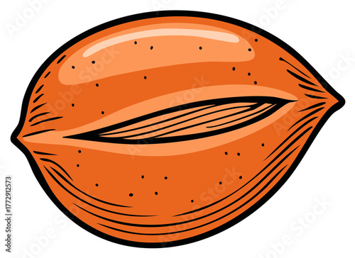 Stylized illustration of a single whole pecan nut with an orange hue and detailed texture