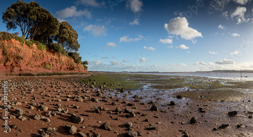 Afternoon on the Exe Estuary