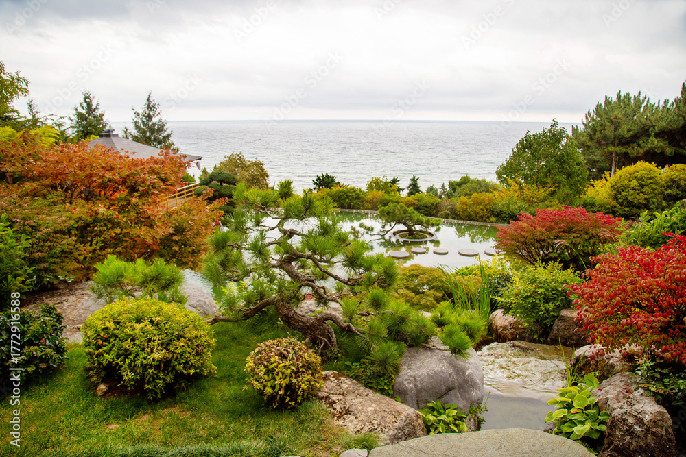 Naklejka premium Japanese garden with pond and trees against the background of the sea and blue sky on a bright sunny day. Flora, nature, plants, landscape of parks.