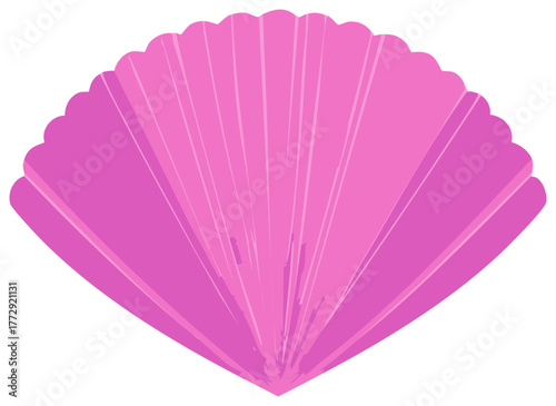 Beautiful pink seashell illustration with fan shape and scalloped edge