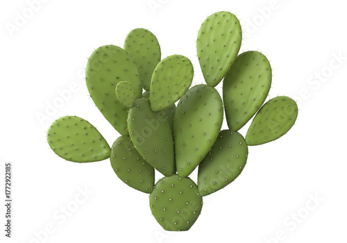Prickly pear cactus isolated on transparent background