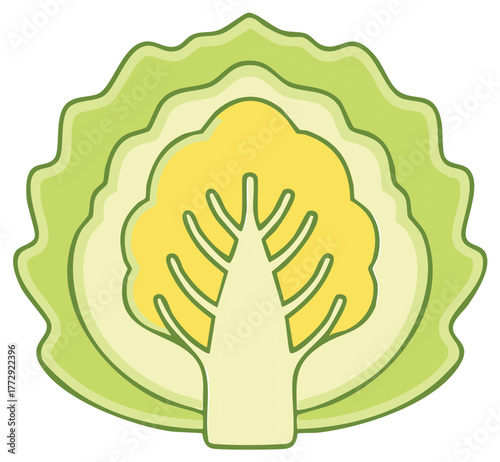 Vector illustration of a fresh green cabbage cut in half showing a cross section icon