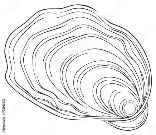 Line Drawing of an Oyster Shell with Organic Textures and Smooth Curves