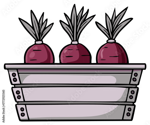 Three cartoon beets with green leafy tops growing in a stacked planter box