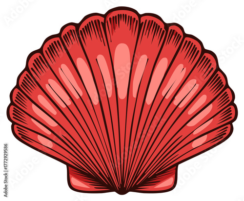 Vibrant Red Scallop Shell Detailed Illustration with Radial Stripes