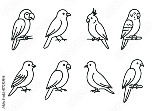 Silhouette collection of various parrot species