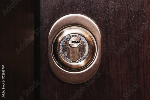 Wallpaper Mural Metal door lock in wooden surface. Closeup of cylinder and keyhole. Concept of security and home protection. Metallic hardware detail for safe entrance. Brown wood texture background and safety. Torontodigital.ca