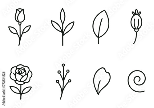 Elegant floral line art collection with abstract leaf and bud designs