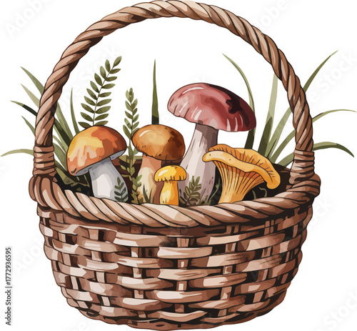 Wild Mushroom Harvest in a Wicker Basket, a Watercolor Illustration