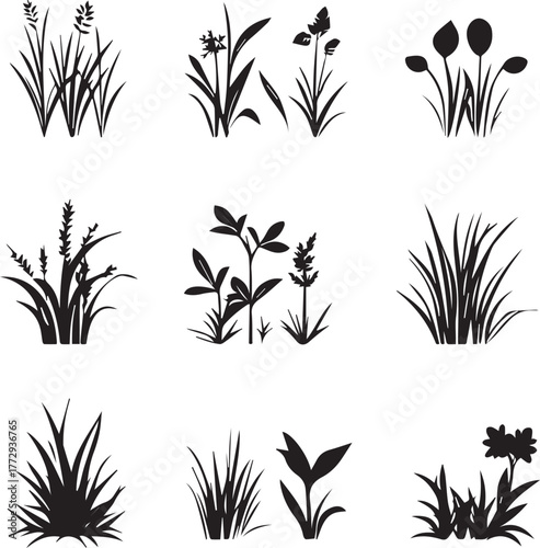 Close-up of natural green grass blades showing vibrant texture black silhouette 