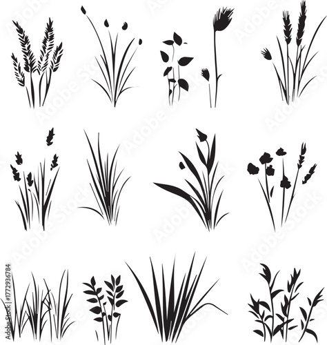 Close-up of natural green grass blades showing vibrant texture black silhouette 