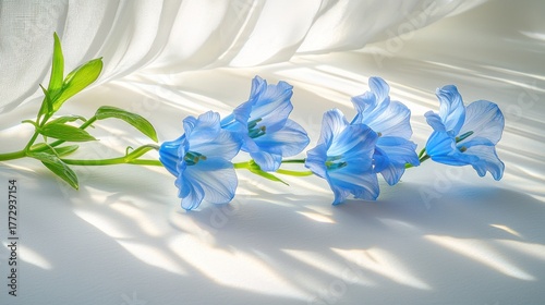 Delicate blue bell-shaped flowers with green stems cast dappled light shadows