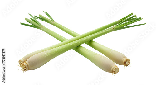 Vibrant lemongrass stalks symbolizing freshness and vitality, great for herbal packaging, spa wellness graphics, and natural food visuals