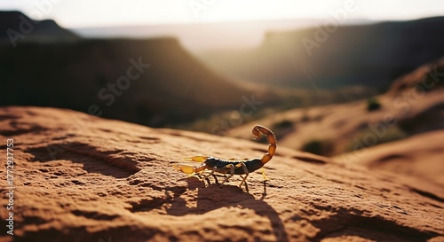 Scorpion on Desert Rock - A Close-Up in the Arid Landscape.