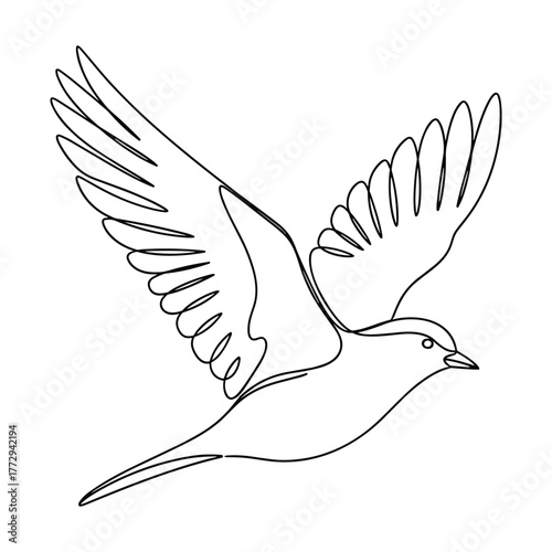 Simple line drawing of a bird in flight with wings spread wide open