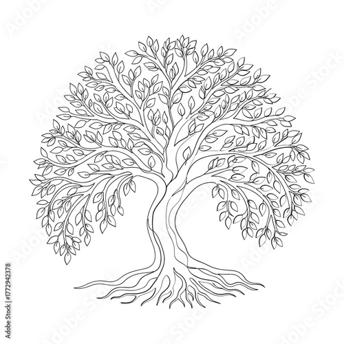 Detailed black and white illustration of a mature tree with extensive roots and full foliage