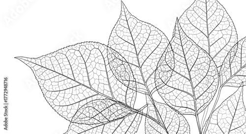 Winter leaves with crystalline veins in modern geometric pattern  