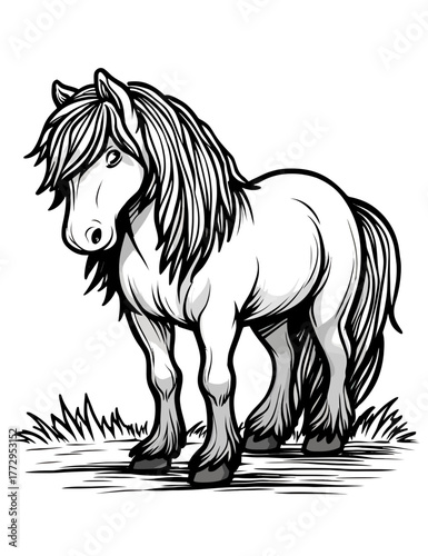 Detailed Monochrome Sketch Of A Sturdy Pony