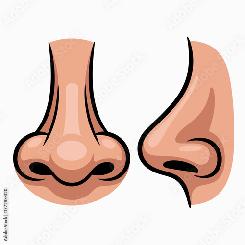 Front and side view of a human nose.