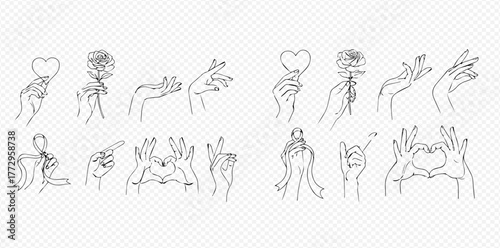 Elegant continuous line art illustrations of hands making various gestures, holding a heart and a rose, on a transparent background.