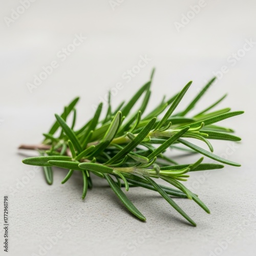 Fresh green rosemary sprig on light grey background  