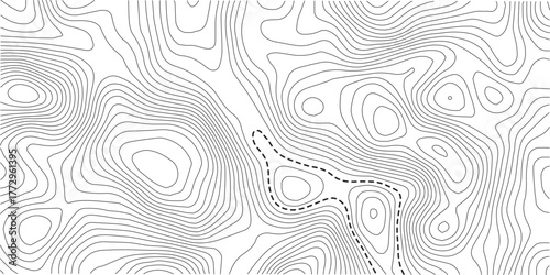 Background of the topographic map. Topographic lines texture. Topographic lines, contour background. topo map texture . Abstract white pattern topography vector background. 