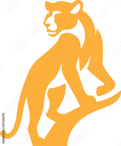 Stylized orange jaguar on white background big cat, Wild jaguar vector design illustration