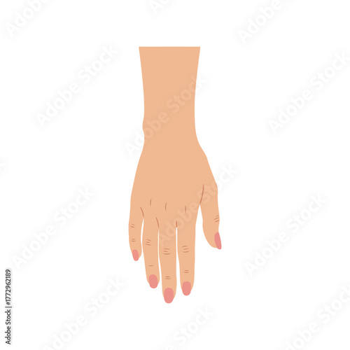 Elegant female hand with pink manicured nails on white background Vector, illustration