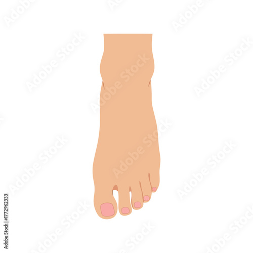Human foot with pink toes isolated on white background   top view Vector, illustration