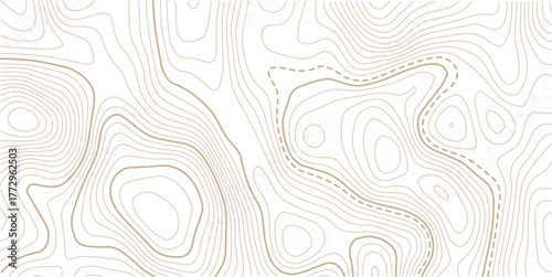 Topographic line contour map background, geographic grid map, stock vector illustration.Abstract topo contour map on white background, Topographic map Topographic contour lines map seamless pattern