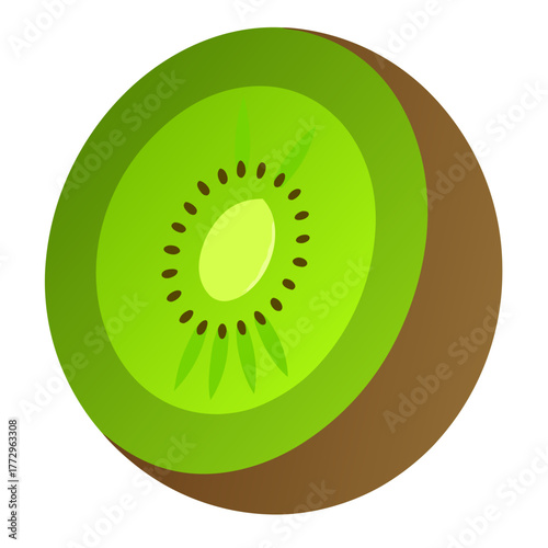 Stylized kiwi fruit slice illustration with brown skin and green flesh isolated on white background silhouette