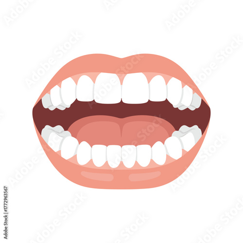 Open mouth with perfect white teeth, smiling, healthy gums, dental care concept Vector, illustration