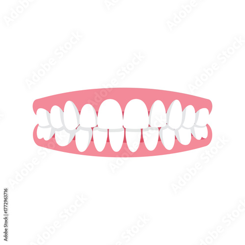 Simple illustration of healthy white teeth and pink gums isolated on white background. Vector, illustration