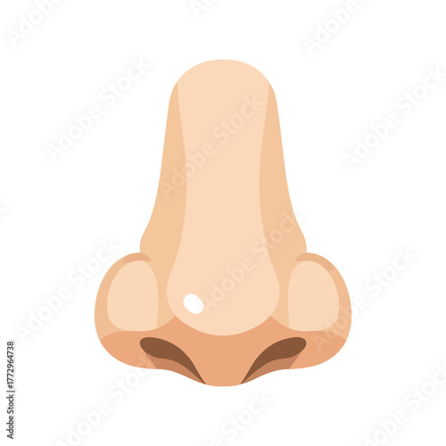Close up illustration of a human nose, simple and clean vector art on white background Vector, illustration