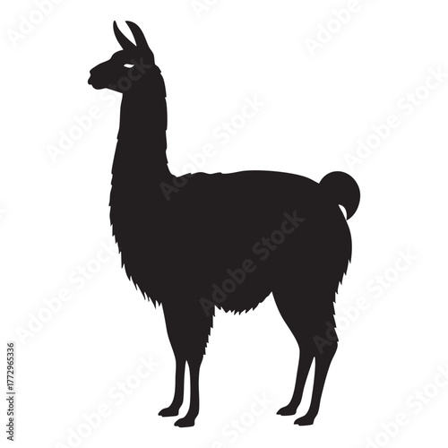 Llama Silhouette - Simple Black Animal Outline