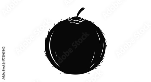 A hand drawn sketch of a whole coconut with a stem in a simple black silhouette style