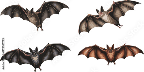 Collection of four detailed bat illustrations showing different species in flight, realistic wings, wildlife art, nocturnal animals, and nature concept