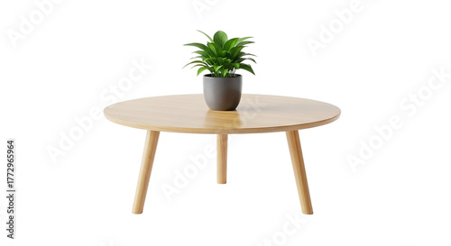 Minimalist Home Decor Green Plant in Pot on Round Wooden Table Modern Interior Design Ideas Isolated on Black Furniture