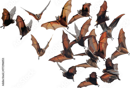 Group of flying bats in the sky with outstretched wings, wildlife photography showing nocturnal animals, nature, freedom, and flight behavior
