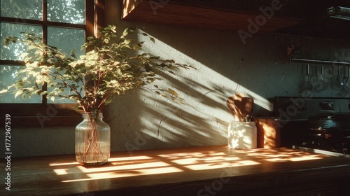 Sunlit kitchen counter with plant in glass jar, dappled shadows