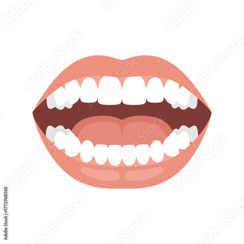 Illustration of an open mouth with healthy white teeth and pink lips, isolated on white Vector, illustration