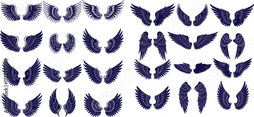 Collection of angel and bird wings with varying styles, illustrated designs, set