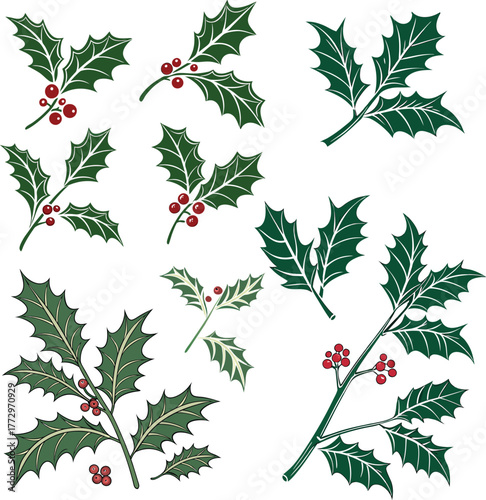 Christmas Leaves and Red Berries vector Set