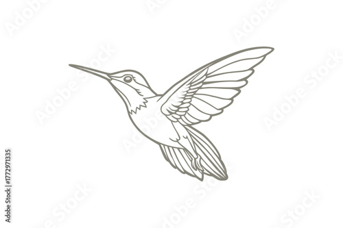 Grace in every flutter.