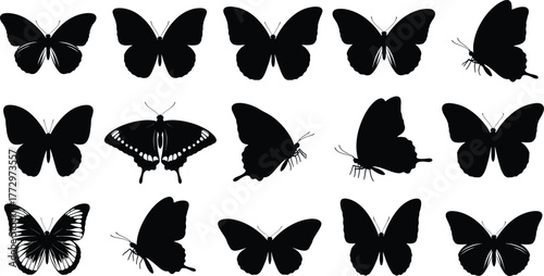 Collection of silhouetted butterflies in various poses and wing positions against a white background