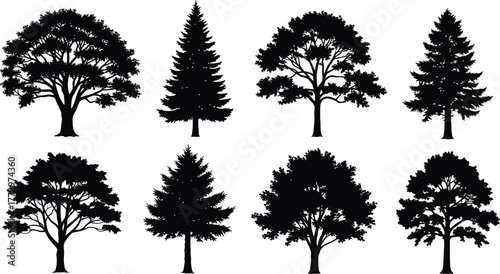 Collection of diverse tree silhouettes in black and white isolated on a white background