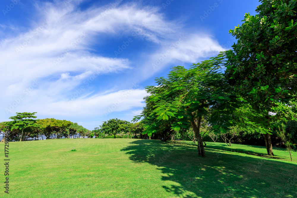 Fototapeta premium Lush green field with trees and a clear blue sky